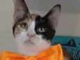 Mia