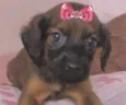Raika 