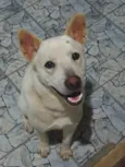 Tony