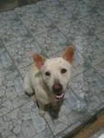 Tony