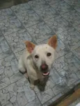 Tony