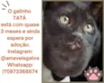 Tatá