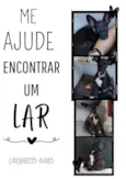 Barthô