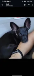 Barthô