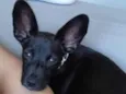Barthô