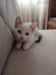 Mia