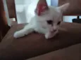 Mia