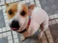 Mel