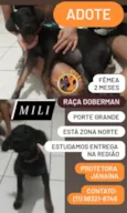 Mili