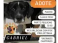 Gabriel