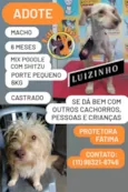 Luizinho