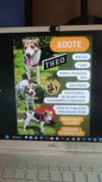 Théo
