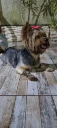Não sei