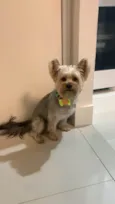 Yuki