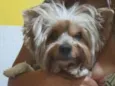 Não sei