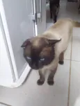 Nao tem