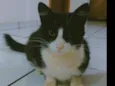 Irmão