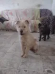 Lucky 
