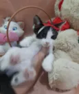 Princesa. 