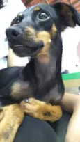 Sid