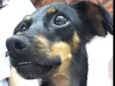 Sid