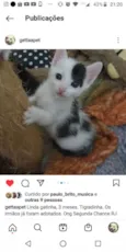 3 irmaos