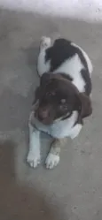Lena