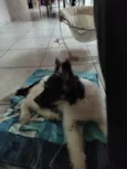 Jonh