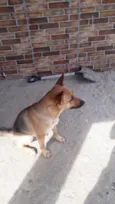 Nina