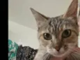 Julieta