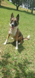 Aquiles