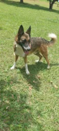 Aquiles