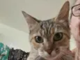 Julieta