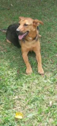 Juninho
