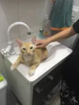 Legolas