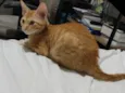 Legolas