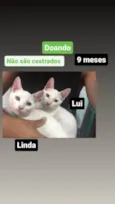 Chamo eles de lui e linda