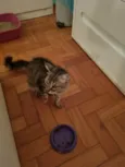 Lua