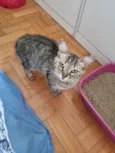 Lua