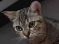 Matilda