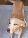 Sebastian