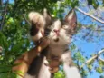 Luiza