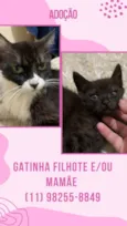 Neném