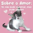Sem nome definido