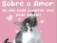 Sem nome definido
