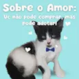Não definido
