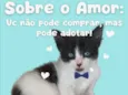 Não definido