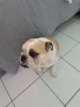 Amy