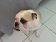 Amy