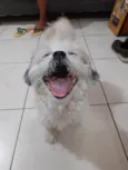 Bruce